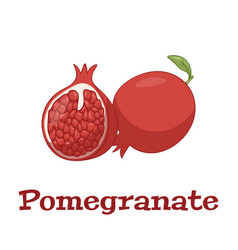 Pomegranate Hand Drawn