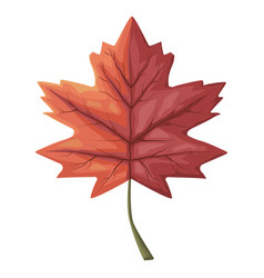 Red Maple Leaf