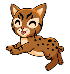 Cute Pixie Bob Cat Cartoon