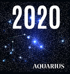 Symbol Aquarius Zodiac Sign With New Year