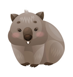 Cute Grey Wombat As Australian Animal And Endemic