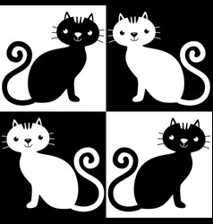 Cute Black And White Cat