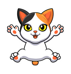 Cute Japanese Bobtail Cat Cartoon