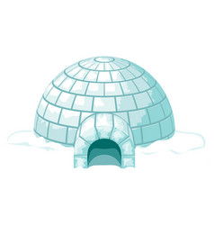 Igloo Icy Cold Home Or Ice House