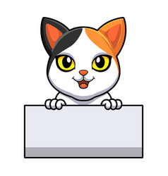 Cute Japanese Bobtail Cat Cartoon