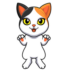 Cute Japanese Bobtail Cat Cartoon