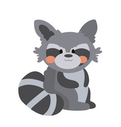 Autumn Season Animal Raccoon