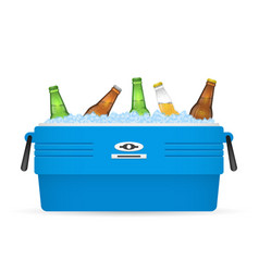 Ice Cooler Or Beer In Box On White