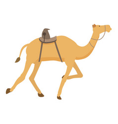 Sport Animal Running Icon Cartoon Arabia