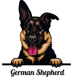 German Shepherd - Color Peeking Dogs - Breed Face