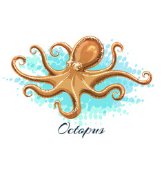 Watercolor Octopus