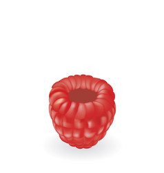 Raspberry On White Background