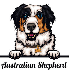 Australian Shepherd - Color Peeking Dogs - Breed