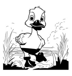 Black And White Of A Duck Standing In A Pond