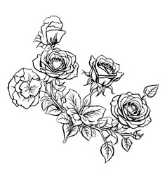 Rose Line Art Flower Drawing Coloring Page