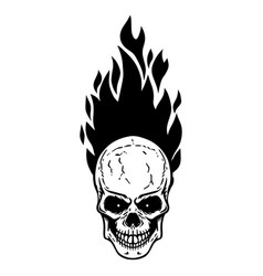 Burning Skull On Black Background Royalty Free Vector Image