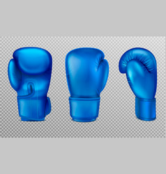 Blue Boxing Gloves Set