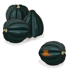 Group Of Acorn Squash Clipart