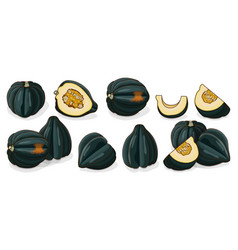 Set Of Acorn Squash Clipart