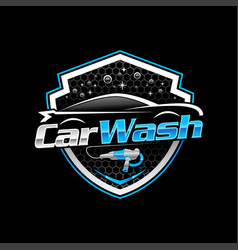 Car Wash And Auto Detailing Blue Silver Logo D