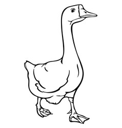 Black And White Goose Hand Drawn Goose