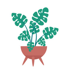 Plant Symbolizes Growth And Nature