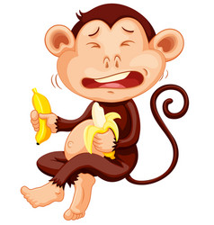 Monkey Holding Banana Crying