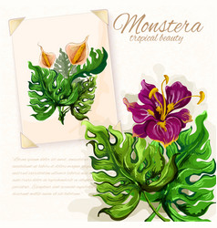 Monstera Leaves With Hibiscus Flowers Design