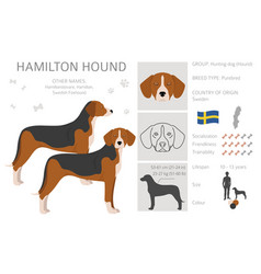 Hamilton Hound Clipart Different Poses Coat