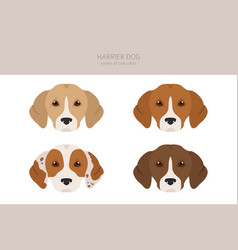 Harrier Dog Clipart Different Poses Coat Colors