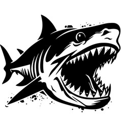 Shark - Black And White