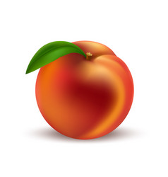 Whole Realistic Peach