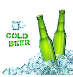 Beer Bottles And Ice