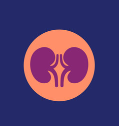 Kidneys And Nephrology Icon