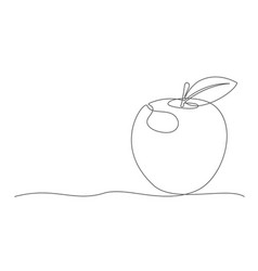 Apple One Line Drawing Isolated On White