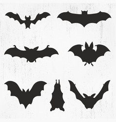 Bat Bundle Svg Clipart Cricut