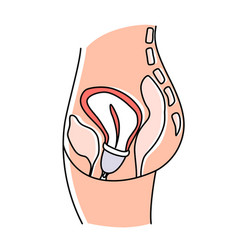 How To Use Woman Menstrual Cup During Periods