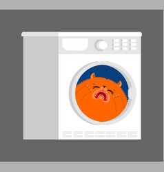 Cat Inside Washing Machine Cartoon Pet