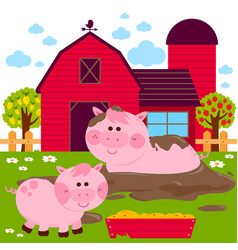 Pigs At The Farm In A Mud Puddle