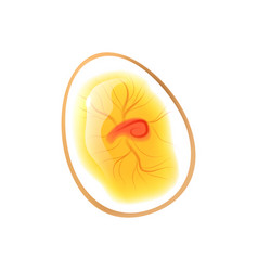 Realistic Egg Inside Composition