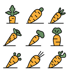 Carrot Icons Set Flat