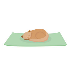 Sleeping Red Cat Isolated Cartoon Character Flat