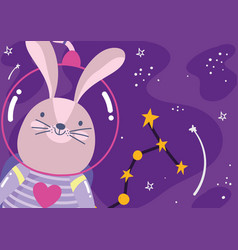 Space Rabbit Astronaut