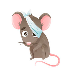 Sick Mouse Animal Sad Baby With Bandage