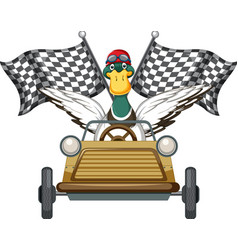 Soapbox Derby With Duck Driving Car