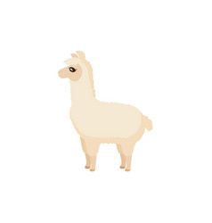 Cute Light Brown Llama Icon