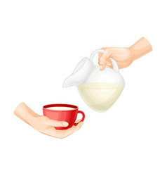 Human Hands Holding Jug With Milk And Pouring