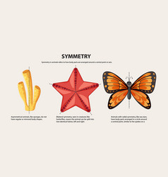 Geometry And Symmetry In Animal