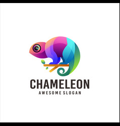 Chameleon Gradient Colorful Logo Design