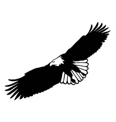 Black And White Eagle Flying With Open Wings Logo